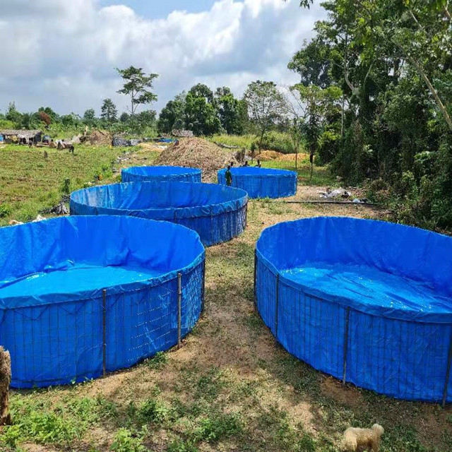 Tanque de pesca com estrutura dobrável